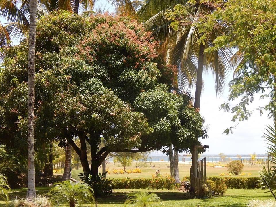 Pousada Aguazul Marau  Esterno foto